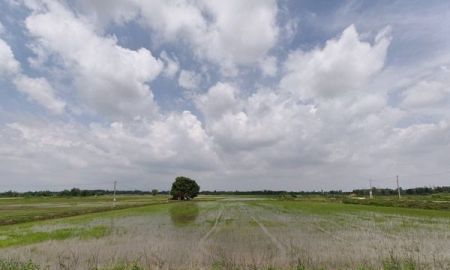 ขายที่ดิน - ขายที่ดิน ที่นา พิษณุโลก อำเภอวังทอง 19 ไร่ สวยมาก วิวนาสวย อากาศดี เงียบสงบ