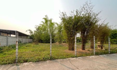 ขายที่ดิน - ขายที่ดินตำบลสันผักหวานบ้านดอนไฟหางดงพร้อมโอน