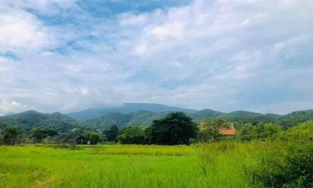 ขายที่ดิน - ขายที่ดินบ้านปงหางดงวิวสวยติดถนนคอนกรีตพร้อมโอน