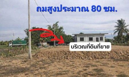ขายที่ดิน - ที่ดินถมแล้ว พร้อมปลูกบ้าน ทำเลดี นครปฐม ใกล้กรุงเทพ เดินทางสะดวก เข้า-ออกได้หลายทาง เทศบาลเมืองสามควายเผือก จ.นครปฐม