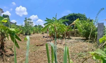 ขายที่ดิน - ขายที่ดินตำบลแม่เหียะถมดินล้อมรั้วเรียบร้อยพร้อมโอน