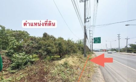 ขายที่ดิน - ที่ดินสวนลำไย ติดถนนใหญ่และแม่น้ำทา เดินทางสะดวก เนื้อที่ 3 ไร่ 262.1 ตรว ต.ม่วงน้อย อ.ป่าซาง จ.ลำพูน