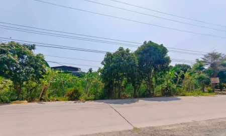 ขายที่ดิน - ขายที่ดินปทุมธานีคลองหนึ่งคลองหลวง กุญชร2ทำเลดีราคาถูก