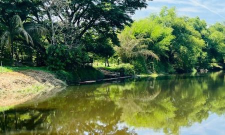 ขายที่ดิน - ที่ดินติดแม่น้ำนครนายก อยู่กับธรรมชาติ ทำเลธุรกิจ ใกล้แหล่งท่องเที่ยว