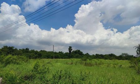 ขายที่ดิน - ขายที่ดินเปล่า ปลดภาระหนี้ ต้องการขายด่วน