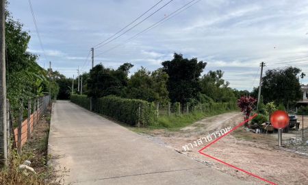 ขายที่ดิน - ขายที่ดิน 1 ไร่ ตะพง เมืองระยอง ติดถนนคอนกรีต ใกล้ตลาดผลไม้ตะพง ใกล้เมืองใช้ชีวิตอยู่ได้จริง เหมาะสำหรับอยู่ในวัยเกษียณ