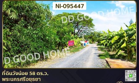 ขายที่ดิน - ที่ดินวังน้อย 58 ตร.ว. พระนครศรีอยุธยา ใกล้ตลาดวังน้อยเมืองใหม่