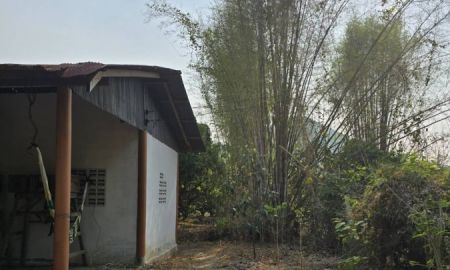 ขายที่ดิน - สวนลำไยพร้อมระบบน้ำ-ไฟครบวงจร + แถมบ้านพัก 1 หลัง ทำเลดี อ.ศรีบัวบาน จ.ลำพูน