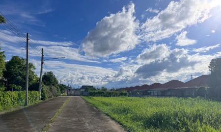 ขายที่ดิน - ขายที่ดินตำบลสันผักหวานหางดงติดถนนโฉนดพร้อมโอน