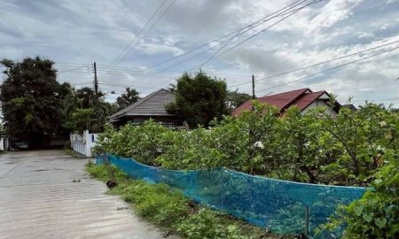 ขายที่ดิน - ขายที่ดินบ้านสวนฝรั่งตำบลหนองจ๊อมสันทรายพร้อมโอน