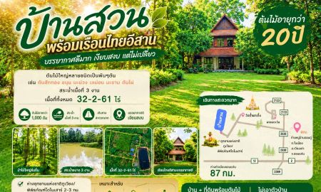 ขายที่ดิน - บ้านสวนพร้อมเรือนไทยอิสาน ต้นไม้ใหญ่กว่าพันต้นอายุเกือบ 20ปี ติดบึงหนองดู่แค่ถนนกั้น เงียบสงบ บรรยากาศดีมาก ใกล้แหล่งท่องเที่ยว อ.เวียงเก่า ขอนแก่น