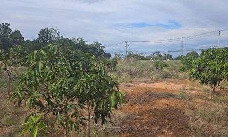 ขายที่ดิน - ขายที่ดินพร้อมต้นมะม่วง 200 ต้น ต.สมอแข อ.เมือง จ.พิษณุโลก