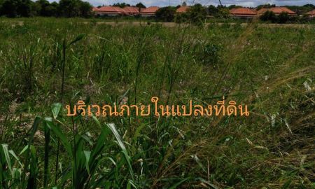 ขายที่ดิน - ขายที่ดินแปลงสวยทำเลดี ทำเลที่พร้อมพร้อมเติบโตตามเศรษฐกิจ บนพื้นที่สีส้ม 19ไร่ 2 งาน อ.บ้านฉาง จ.ระยอง