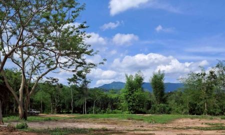 ขายที่ดิน - ขายที่ดินโฉนด เนื้อที่ 5-2-82.1 ไร่ วิวเขาใหญ่