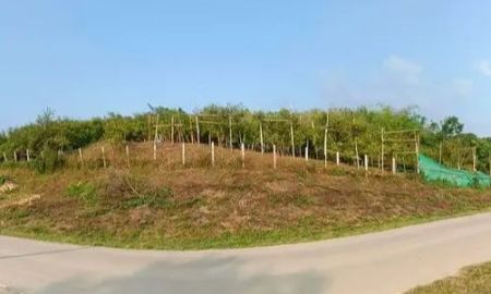 ขายที่ดิน - ขายสวนส้มบ้านห้วยเดื่ิอแม่ข่าฝางดินดีผลผลิตงามพร้อมโอน