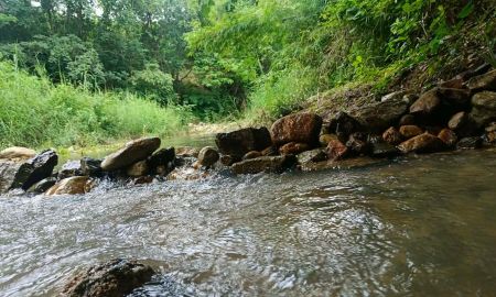 ขายที่ดิน - ขายที่ดินติดลำธารน้ำติดถนนคอนกรีตโฉนดพร้อมโอน