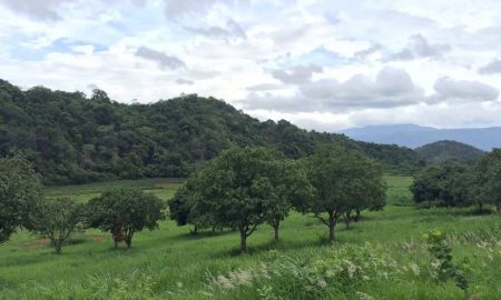 ขายที่ดิน - ขายที่ดินเขาใหญ่ ปากช่อง 22ไร่ โฉนดครุฑแดง ที่ติดเขาวิวภูเขาล้อบรอบสวยมาก หน้ากว้างติดถนนสาธารณะ ที่สูงเทควิวเขาใหญ่ เหมาะทำโรงแรมพัฒนาแบ่งแปลง ขายถูก