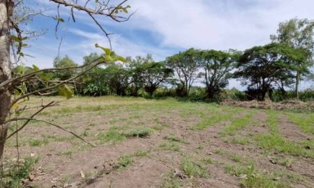 ขายที่ดิน - ขายที่ดินตำบลสารภีบ้านต้นกวาวชมภูสารภีพร้อมโอน