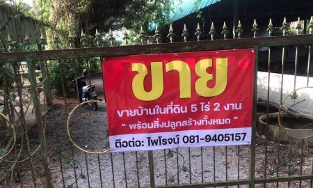 ขายที่ดิน - ขายที่ดินพร้อมบ้าน 5.5 ไร่ หมู่8 ตำบลสองสลึง อำเภอแกลง ระยอง ห่างจากถนนสุขุมวิท เพียง 100 เมตร