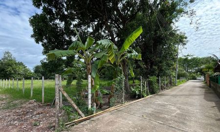 ขายที่ดิน - ขายที่ดินเยื้องปตทน้ำแพร่ติดถนนคอนกรีตพร้อมโอน
