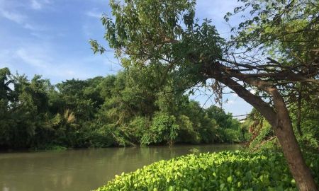 ขายที่ดิน - ด่วน ขายที่ดินติดน้ำ ที่ริมแม่น้ำน้อย เสนา บ้านโพธิ์ อยุธยา ริมน้ำ 3ไร่ หน้ากว้างติดน้ำสวย ใกล้ถนนเสนา ใกล้สี่แยกเสนา ตลาดสดบ้านแพน ขายถูก ราคาร้อน