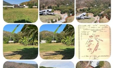 ขายที่ดิน - ขายที่ดินบ้านฟ่อนหนองควายหางดงโฉนดพร้อมโอน