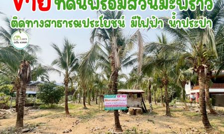 ขายที่ดิน - ที่ดินพร้อมสวนมะพร้าวน้ำหอม เเหล่งชุมชน ใช้ทำบ้านสวย โฉนดพร้อมโอน