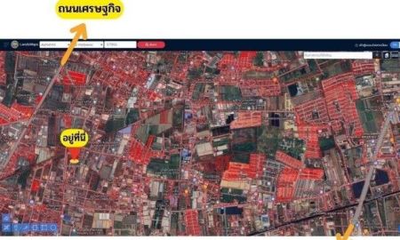 ขายที่ดิน - ขายที่ดินวปอกระทุ่มแบนผังม่วง ที่ดินท่าไม้กระทุ่มแบน ที่ดินอ้อมน้อย