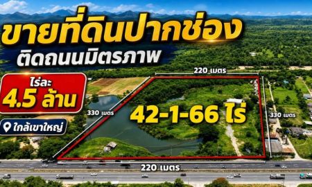 ขายที่ดิน - ที่ดินปากช่อง 43 ไร่ (สามารถแบ่งขาย 14 ไร่ หรือ 21 ไร่ได้) ติดถนนมิตรภาพ 220 เมตร ปากช่อง นครราชสีมา