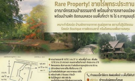 ขายที่ดิน - Rare Property! ขายไร่พุทธะประทาน สวนป่าธรรมชาติ พร้อมลำธารไหลผ่าน ต้นไม้ใหญ่ทั้งสวน วิวภูเขา พร้อมบ้านพัก ติดถนนหลวง บนพื้นที่กว่า 16 ไร่ จ.กาญจนบุรี