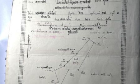 ขายที่ดิน - ขายที่ดิน 4-3-85.6 ไร่ ถลาง ภูเก็ต ทำเลดี มีลำน้ำไหลผ่าน เหมาะสร้างบ้านและรีสอร์ท