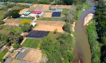 ขายที่ดิน - ขายที่ดินตำบลสันโป่งแม่ริมติดน้ำปิงโฉนดพร้อมโอน