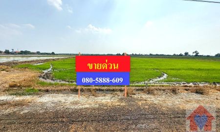 ขายที่ดิน - ขายยกแปลง ที่ดินเกษตรกรรมผืนใหญ่ 17 ไร่เศษ อ.บางเลน นครปฐม ทำเลดี น้ำท่าอุดมสมบูรณ์ ใกล้กรุงเทพฯ