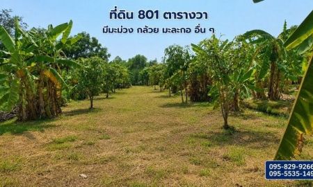 ขายที่ดิน - ขายที่ดินถมแล้ว 2-0-01ไร่ โครงการ Wellness City (เวลเนสซิตี้) เพื่อการพักวัยเกษียณ ใกล้ถนนปทุมธานี-สามโคก-เสนา (ทล.3111)อ.บางไทร จ.อยุธยา