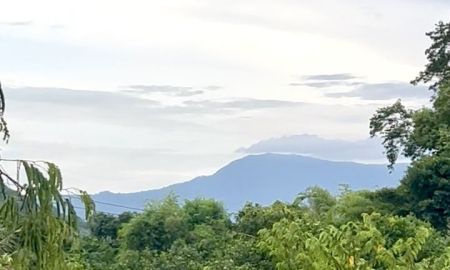 ขายที่ดิน - ที่ดินติดคลองมีน้ำตลอดปี เห็นวิวเขาทอดยาวสวยบรรยากาศดีใกล้แหล่งท่องเที่ยว เหมาะบ้านสวน รีสอร์ท คาเฟ่ พูลวิลล่า