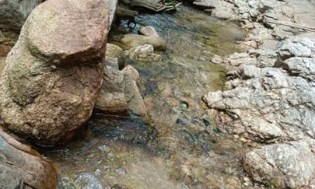 ขายที่ดิน - ขายที่ดินติดลำธารน้ำตำบลฮอดหางดงโฉนดพร้อมโอน
