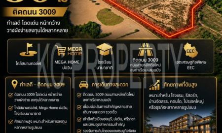 ขายที่ดิน - ที่ดิน EEC 51 ไร่ ติดถนน 6 เลนสาย 3009 เส้นทางตรงท่าเรือแหลมฉบัง เหมาะ CY, Warehouse และ Logistics Hub