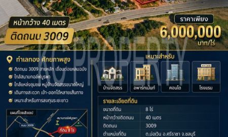 ขายที่ดิน - ที่ดิน 8 ไร่ ติด 3009 เส้นแหลมฉบัง ที่ดินเนินสวย เหมาะรีสอร์ท โรงแรม