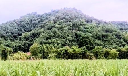 ขายที่ดิน - ที่ดินเปล่า แปลงสวย มีแหล่งน้ำ ใกล้ถนนสายหลัก อุตรดิตถ์