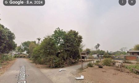ขายที่ดิน - ขายที่ดินบ้านขัวโกสันผีเสื้อลลติดถนนสองด้านพร้อมโอน
