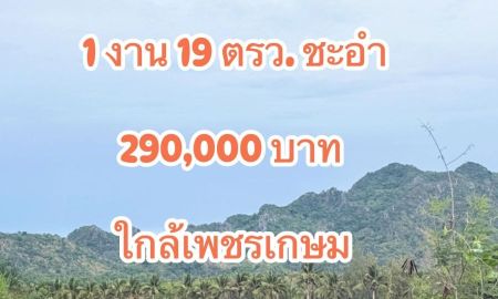 ขายที่ดิน - ที่ดินใกล้ถนนเพชรเกษมชะอำแปลงเล็กๆ 290,000 บาท
