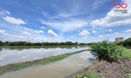 ขายที่ดิน - ขายที่ดิน 1 ไร่ คลองห้าตะวันออก คลองหลวง ถนนรังสิต นครนายก แปลงสวย ทำเลดี