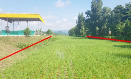 ขายที่ดิน - ขายที่ดินเปล่า ตำบลปล้อง อำเภอเทิง จังหวัดเชียงราย