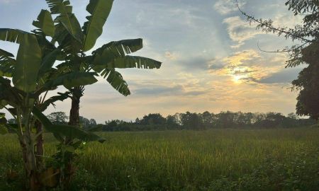 ขายที่ดิน - ขายที่ดินสวย บ้านร้องขี้เหล็ก ติดถนน ติดน้ำไหลตลอดปี ทำเลศักยภาพสูง (วงแหวนรอบ 4 ตัดผ่านที่ดิน)