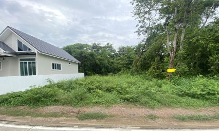 ขายที่ดิน - ขายที่ดินเปล่าซอยหลังวัดเขาไผ่ ติดถนน 2 ด้าน ต.เนินพระ อ.เมืองระยอง