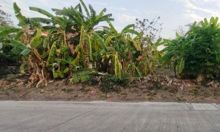 ขายที่ดิน - ขายที่ดินฝั่งทะเลอ่างศิลา 283 ตรว. ถนนมิตรสัมพันธ์ซอย4 ใกล้ถ.เสม็ด-อ่างศิลา3134-950เมตร เมืองชลบุรี