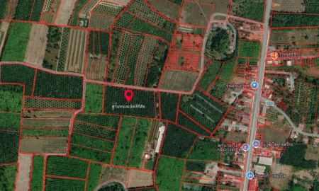 ขายที่ดิน - ขายที่ดินเปล่าพร้อมสวนปาล์ม 13 ไร่ ทำเลดี อำเภอรัษฎา จังหวัดตรัง