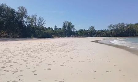 ขายที่ดิน - ที่ดินติดทะเลชุมพร19ไร่ อ.ปะทิว ใกล้สนามบินชุมพร
