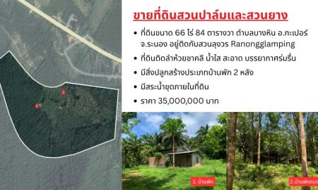 ขายที่ดิน - ขายที่ดินผืนใหญ่พร้อมสวนปาล์มและสวนยางพารา มีลำห้วยโอมล้อม ต.บางหิน อ.กะเปอร์ จ.ระนอง