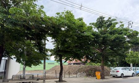 ให้เช่าที่ดิน - ให้เช่า ที่ดินติดถนนอินทราวาส ขนาด 160ตรว.